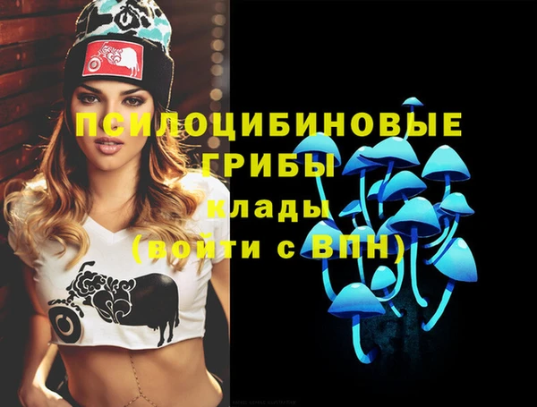 прущая мука Абаза
