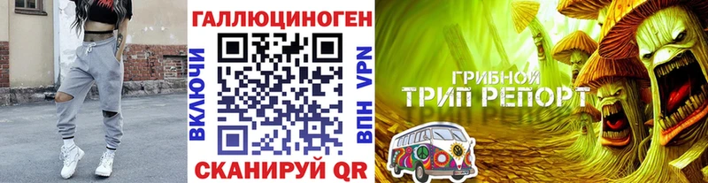 Псилоцибиновые грибы Psilocybe  где продают   Нахабино 